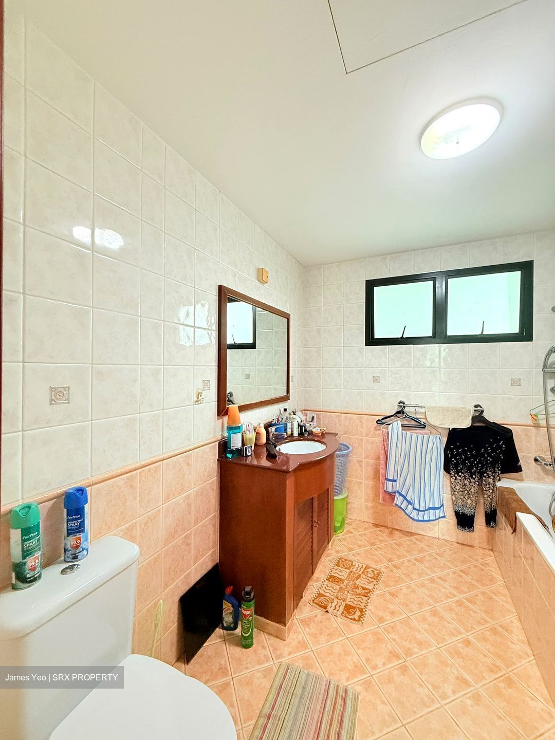 Chestervale (D23), Condominium #592981821